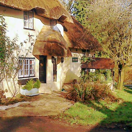 The Crown Inn Alvediston Zewnętrze zdjęcie