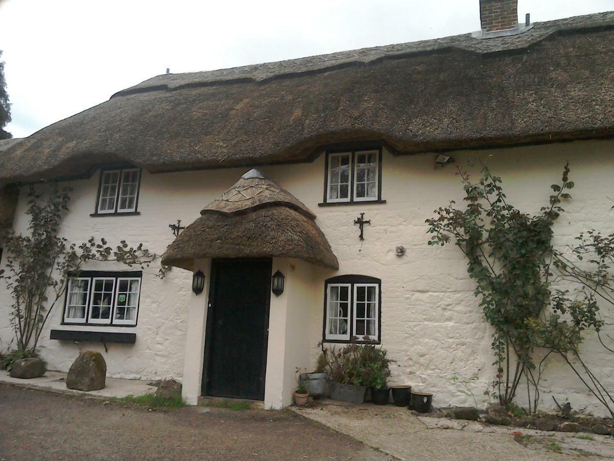 The Crown Inn Alvediston Zewnętrze zdjęcie