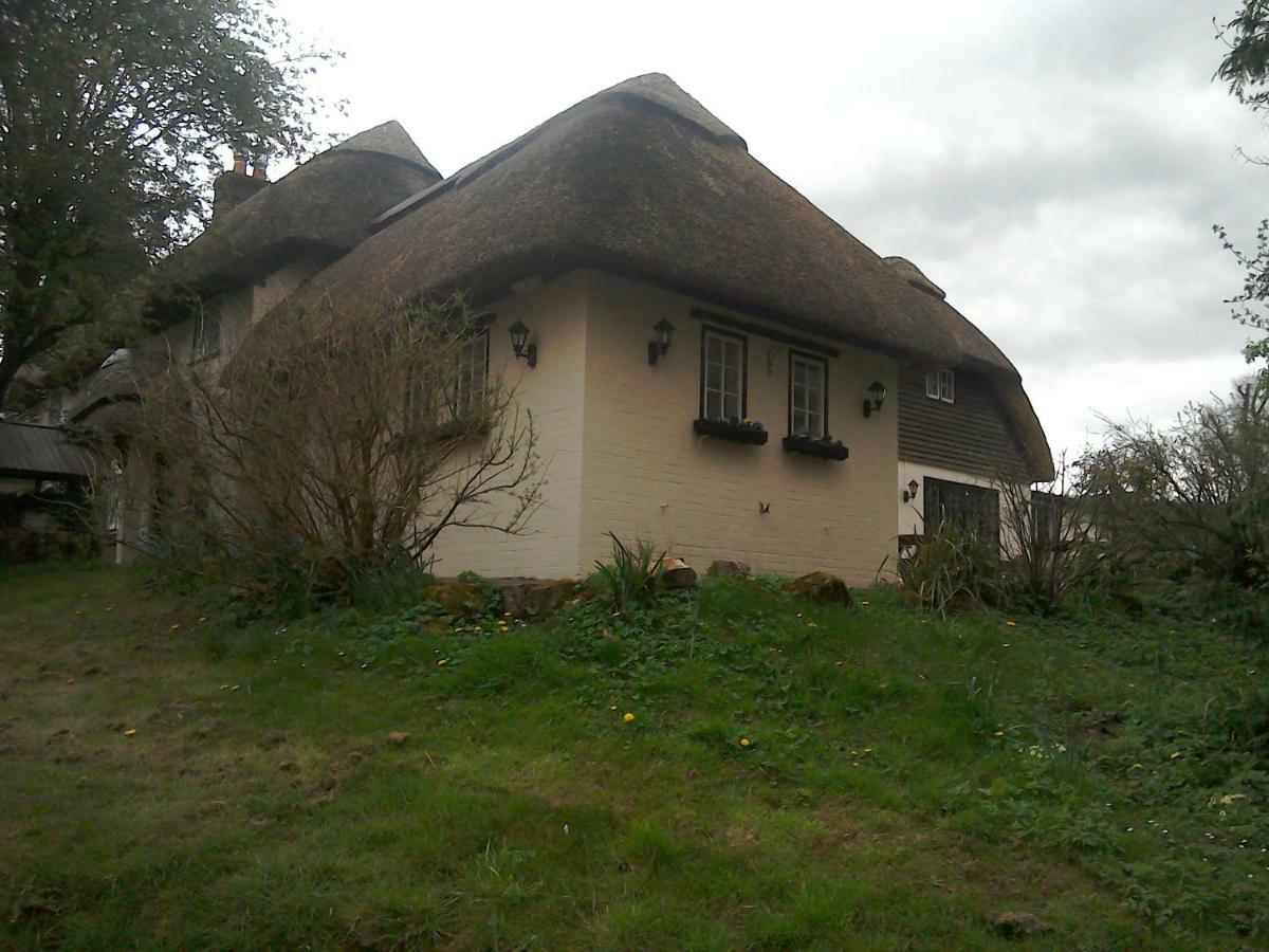 The Crown Inn Alvediston Zewnętrze zdjęcie