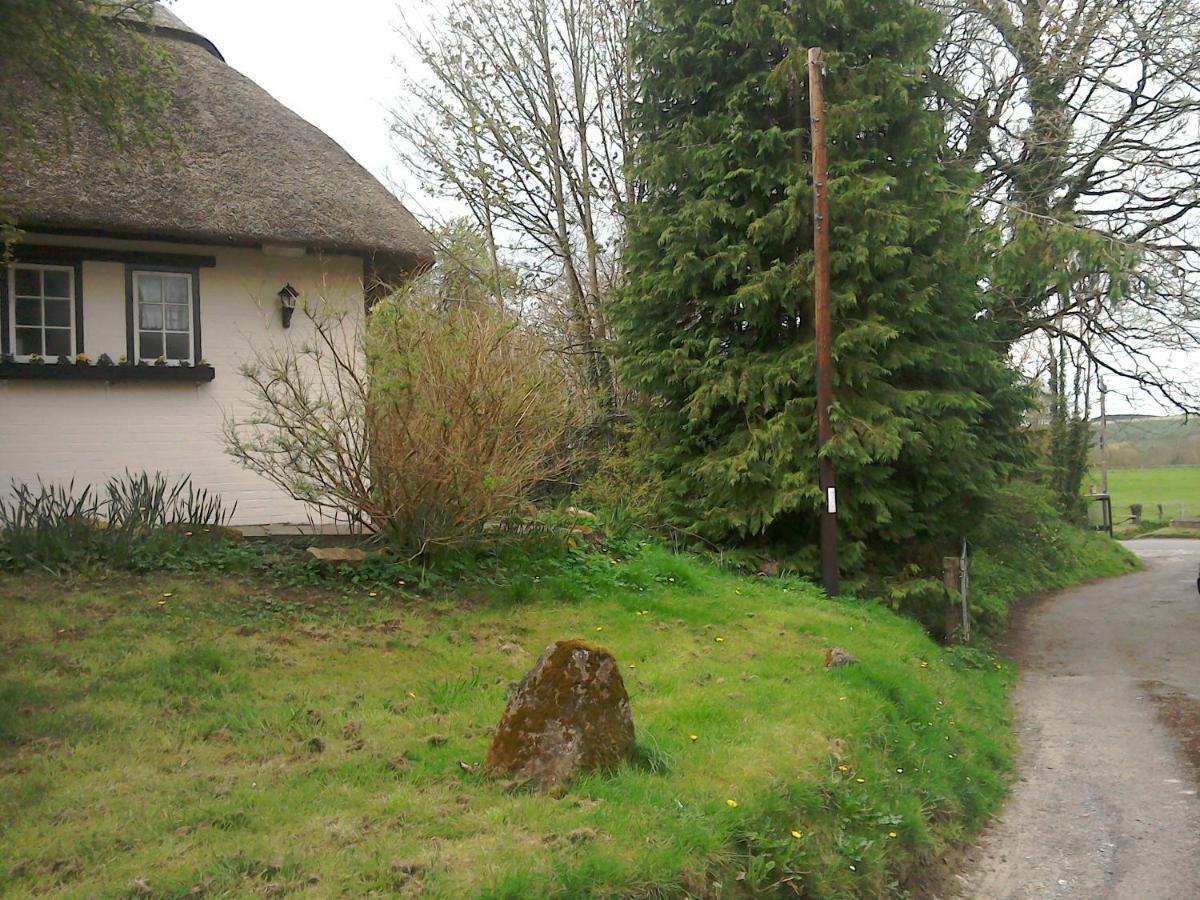 The Crown Inn Alvediston Zewnętrze zdjęcie