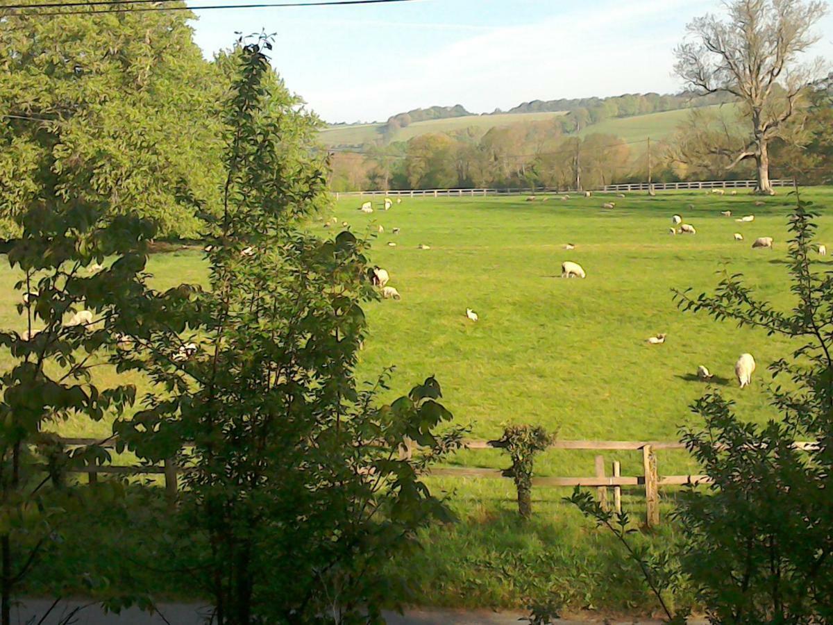 The Crown Inn Alvediston Zewnętrze zdjęcie