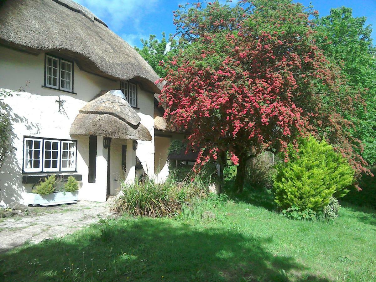 The Crown Inn Alvediston Zewnętrze zdjęcie
