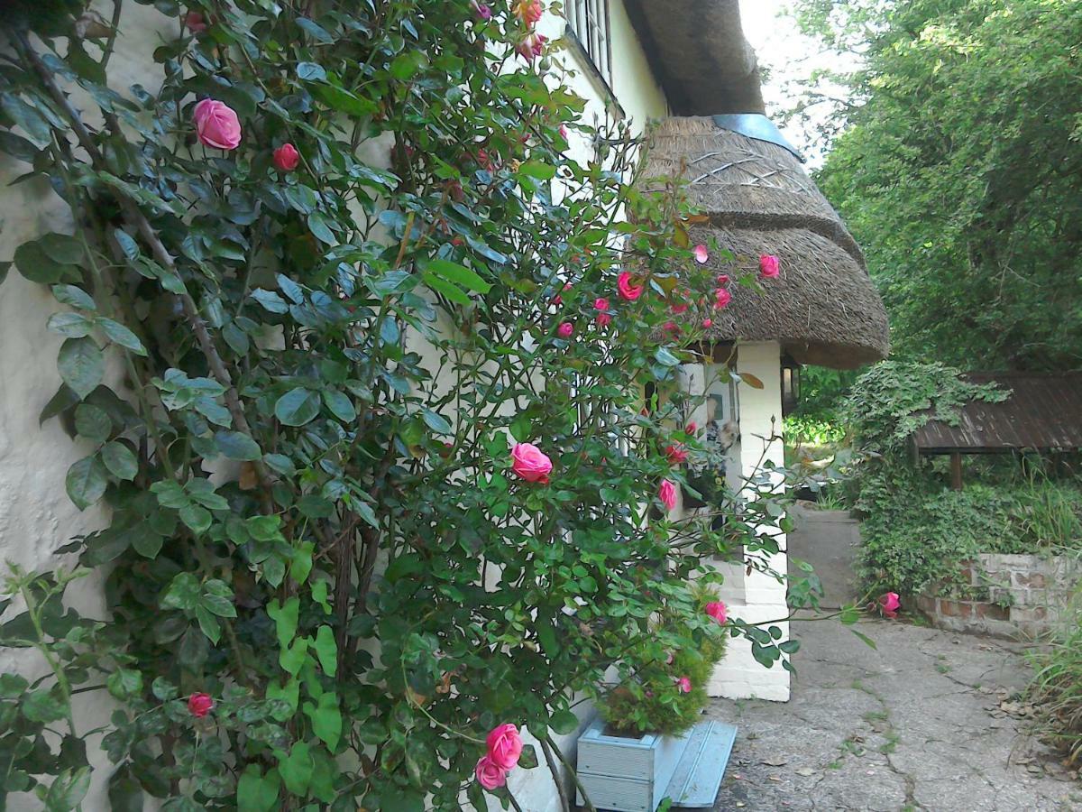The Crown Inn Alvediston Zewnętrze zdjęcie