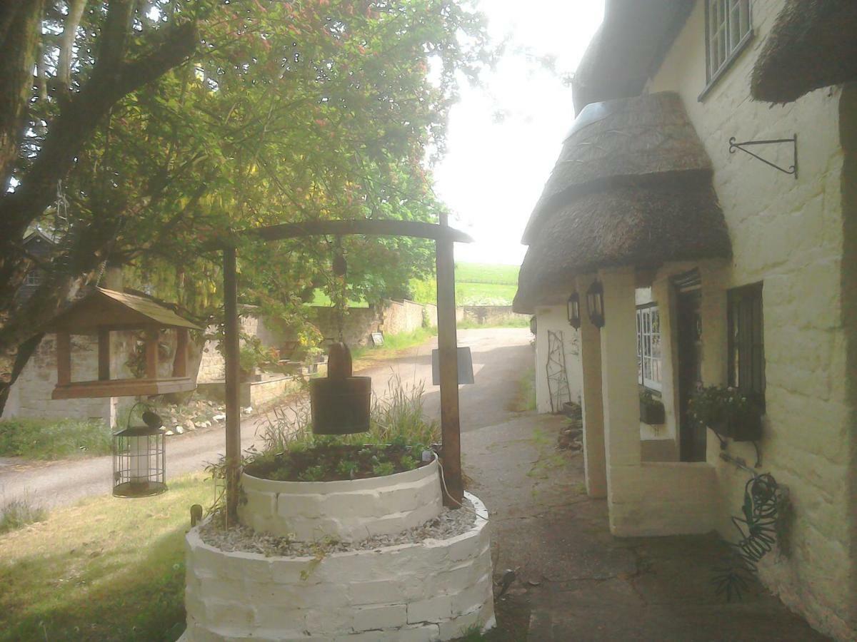 The Crown Inn Alvediston Zewnętrze zdjęcie